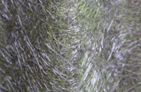 Cotton Of Brighty fibreglass roof work